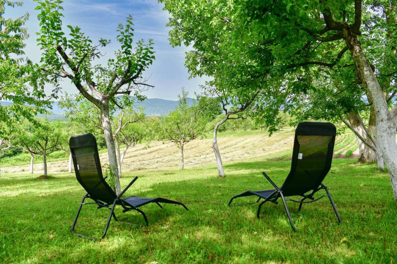 Apartman Plum Plitvice Drežnik Grad Extérieur photo